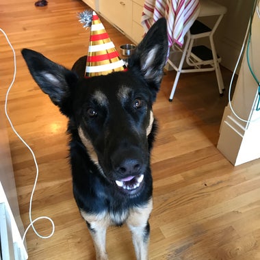 Ruby Greene in a birthday hat.